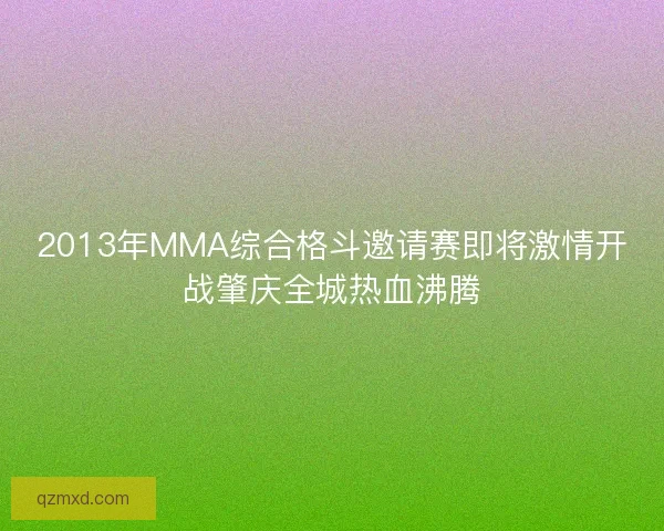 2013年MMA综合格斗邀请赛即将激情开战肇庆全城热血沸腾