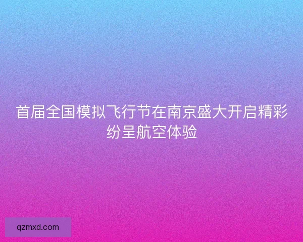 首届全国模拟飞行节在南京盛大开启精彩纷呈航空体验