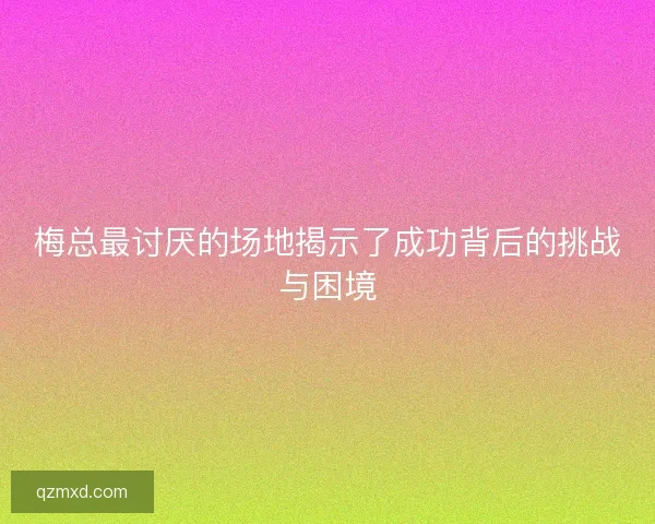 梅总最讨厌的场地揭示了成功背后的挑战与困境