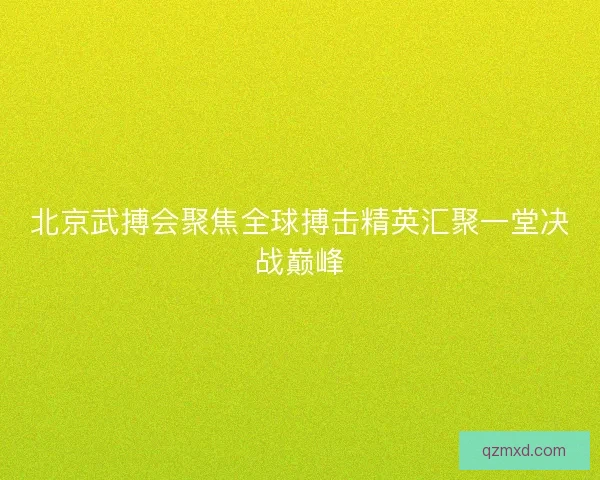 北京武搏会聚焦全球搏击精英汇聚一堂决战巅峰 北京武搏会聚焦全球搏击精英汇聚一堂决战巅峰